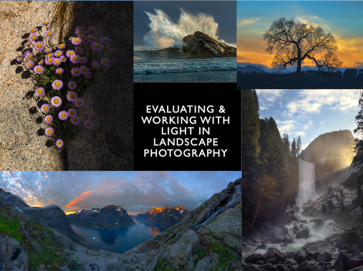 Evaluating Working with Light Webpage Cover